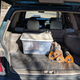 Image for article titled At $3,500, Will This Supercharged 1999 Subaru Forester Blow Your Mind?